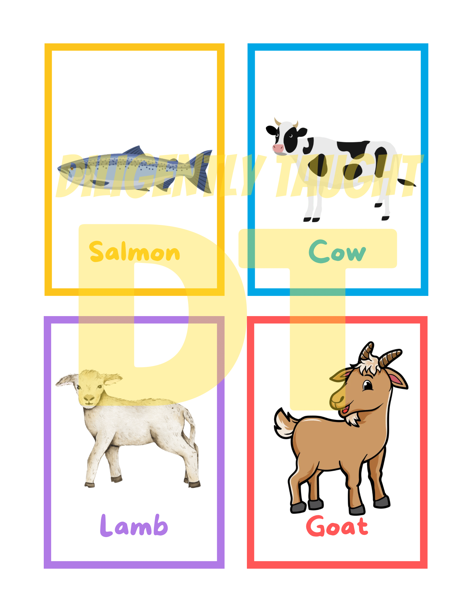 Clean & Unclean Animals Flashcards