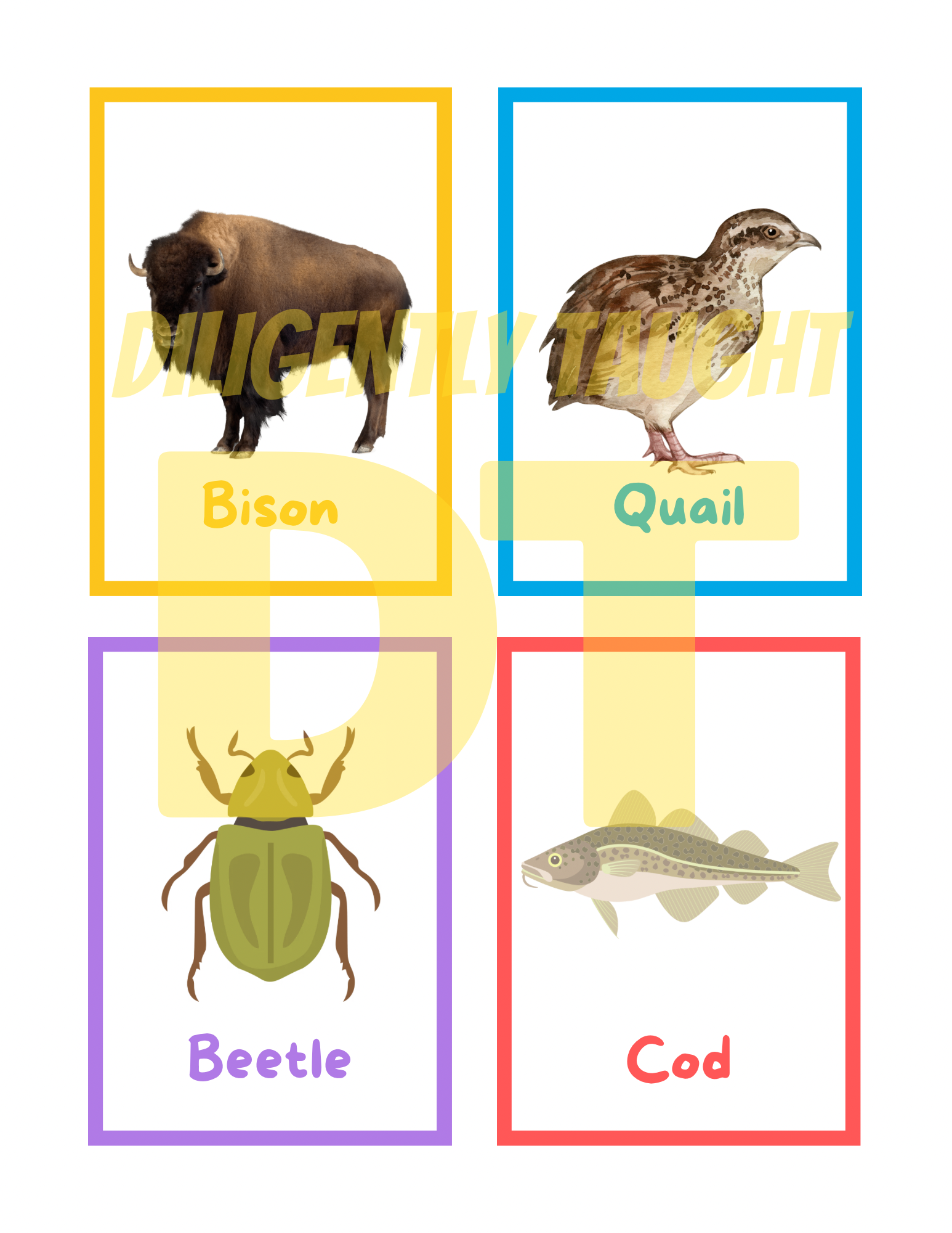 Clean & Unclean Animals Flashcards