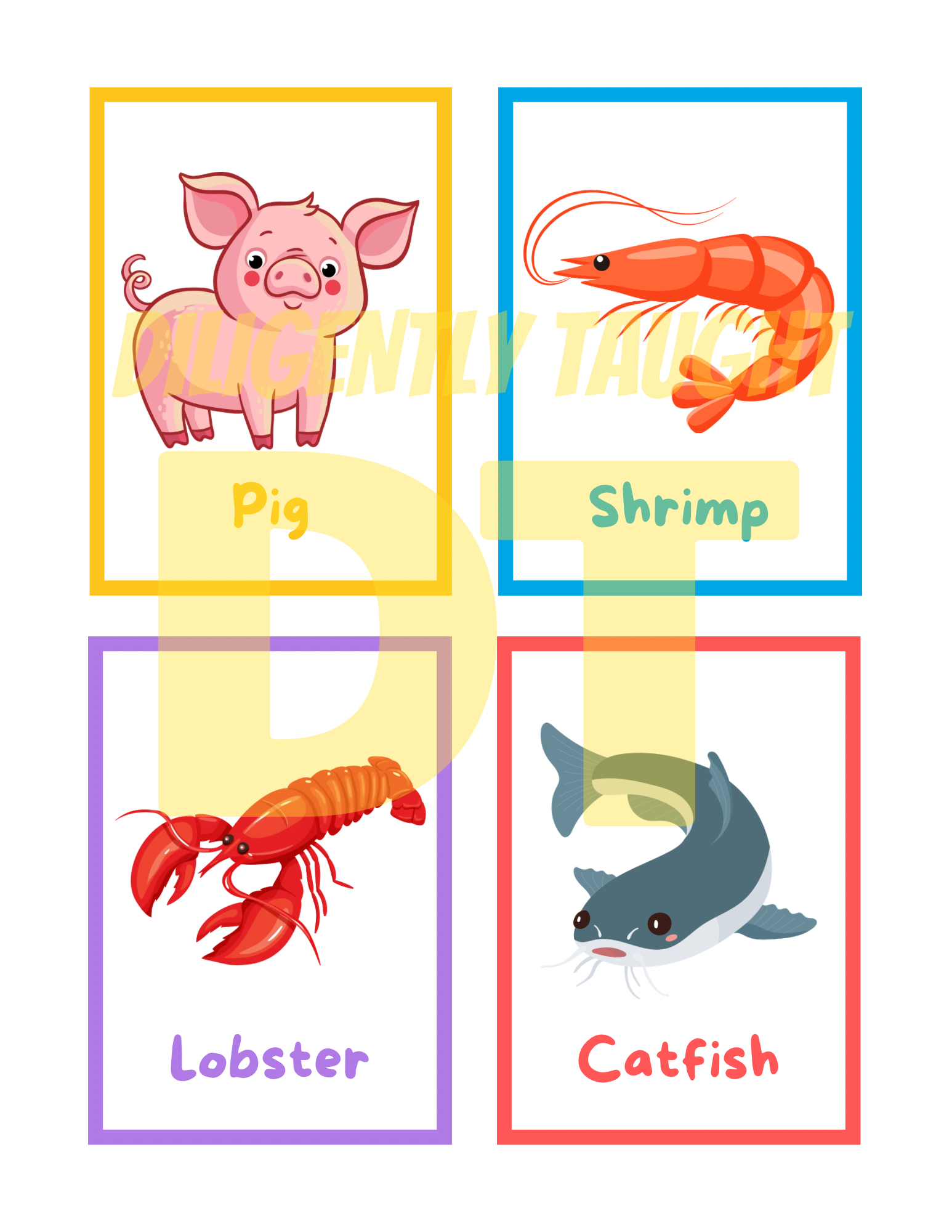 Clean & Unclean Animals Flashcards