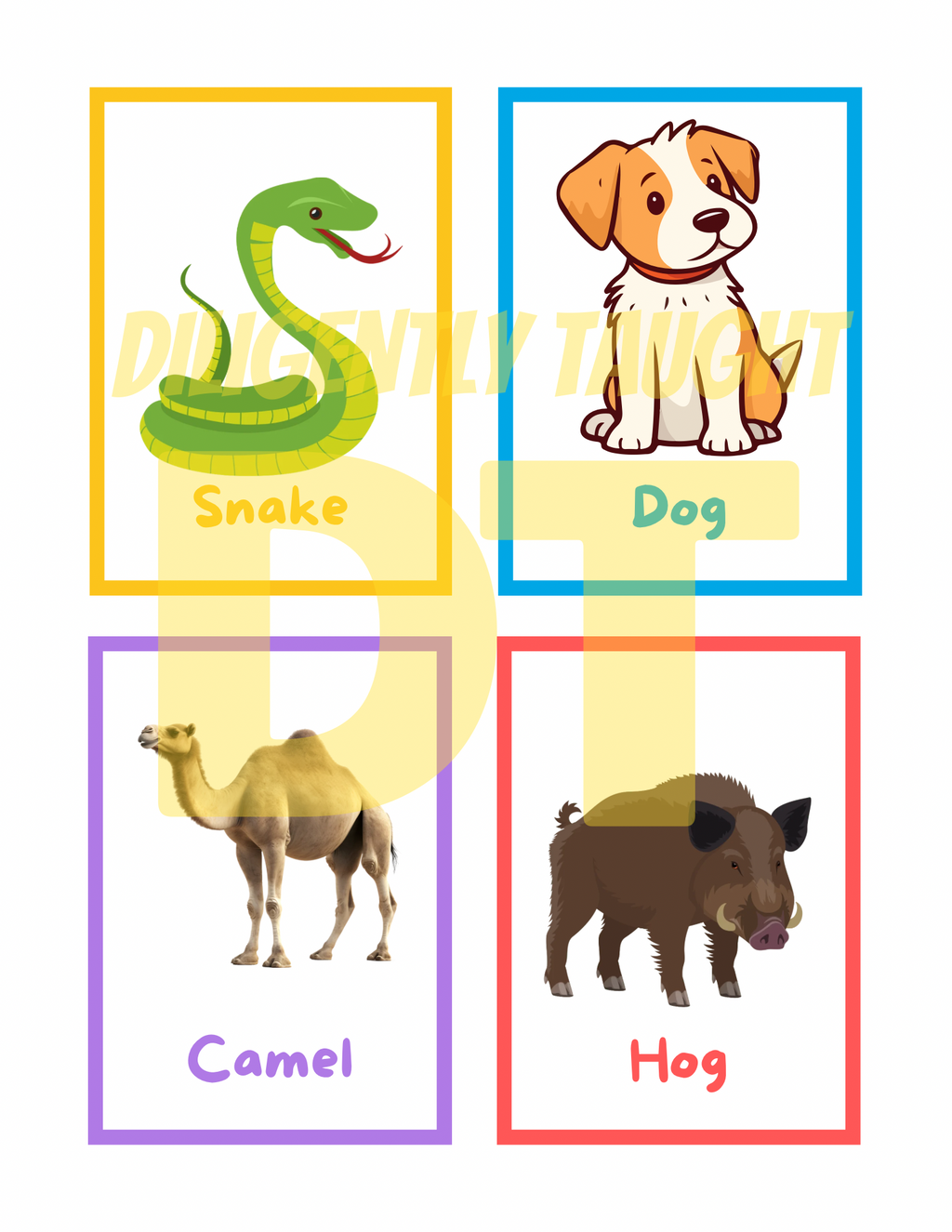 Clean & Unclean Animals Flashcards