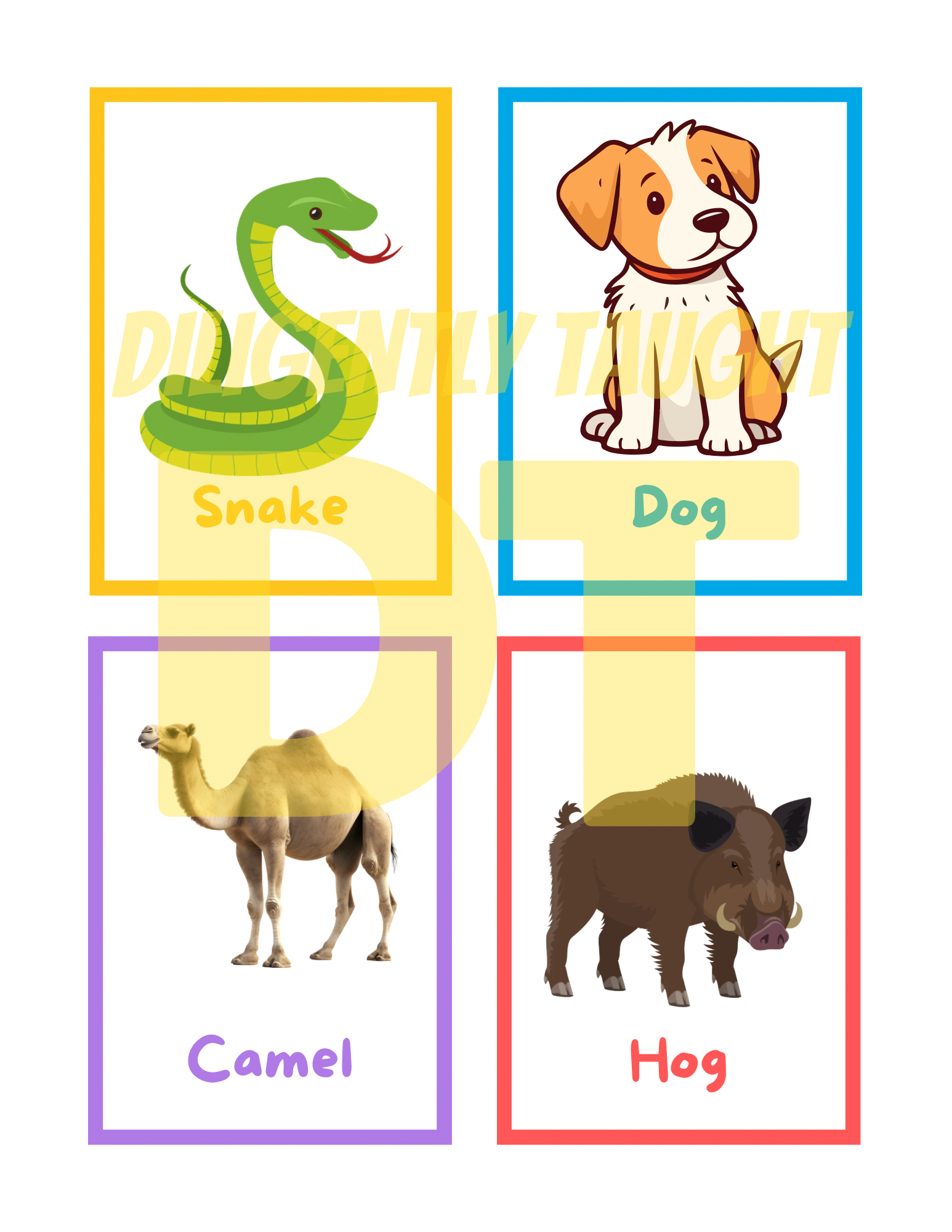 Clean & Unclean Animals Flashcards
