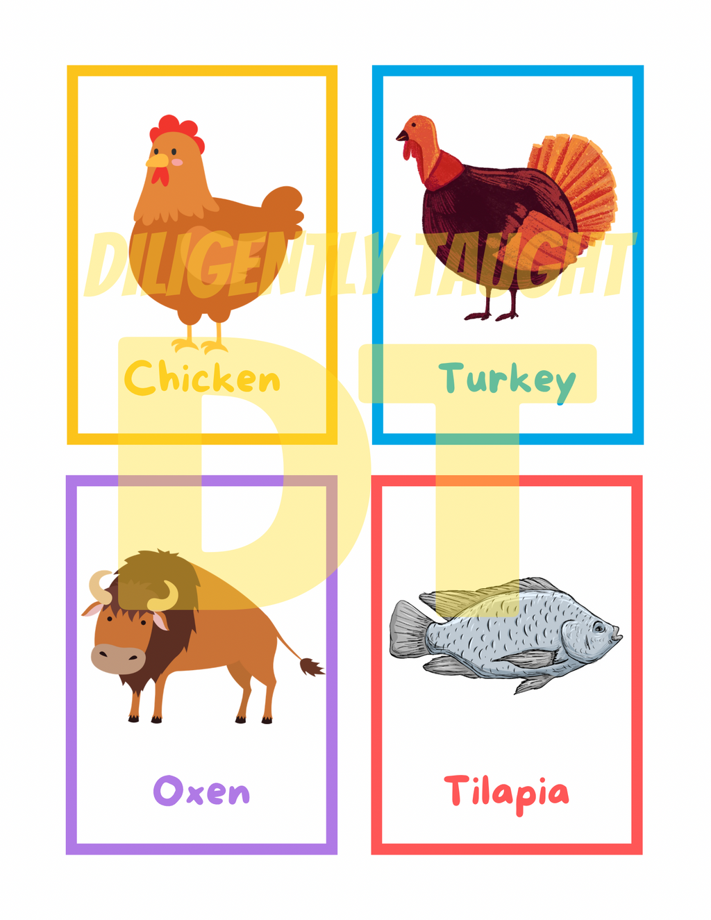 Clean & Unclean Animals Flashcards