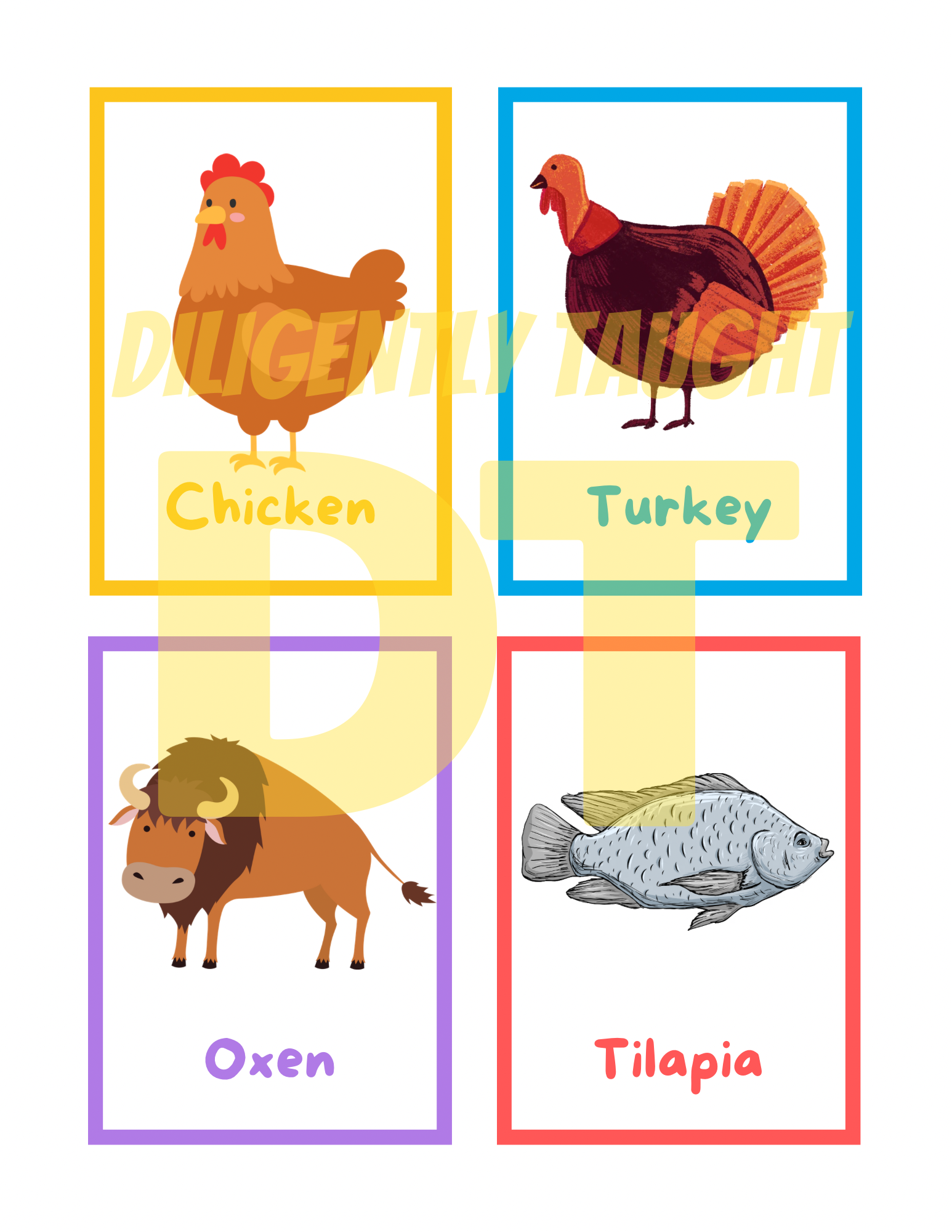 Clean & Unclean Animals Flashcards