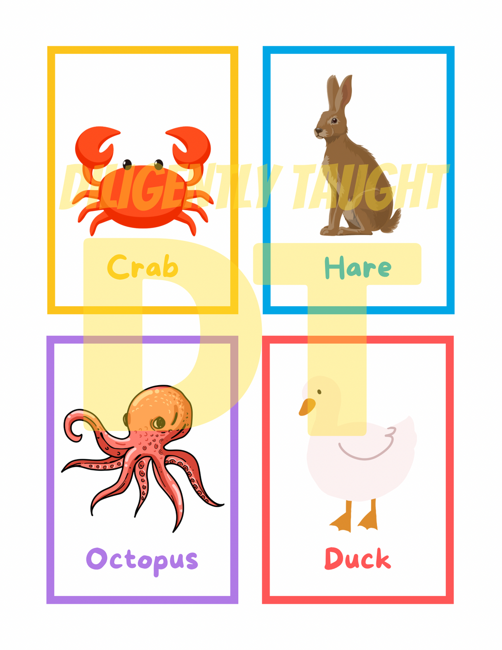 Clean & Unclean Animals Flashcards