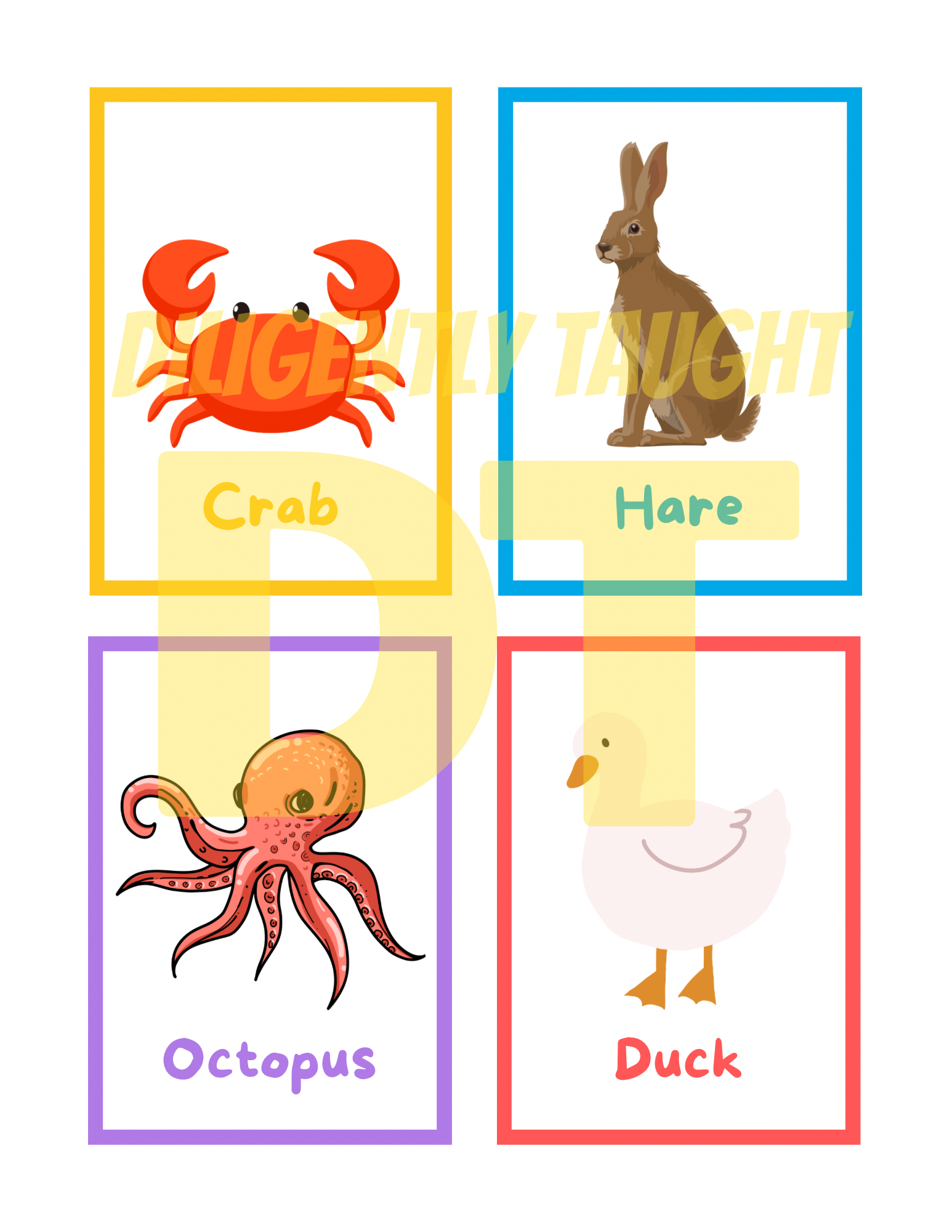 Clean & Unclean Animals Flashcards